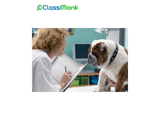 Trusted Dog Walking and Sitting Services in Atlanta