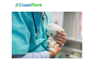 Dogs Services In San Jose, California