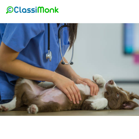 expert-veterinary-care-for-your-furry-friend-big-0