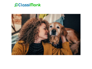 Luxury Boarding For pets, Your pets Home Away from home