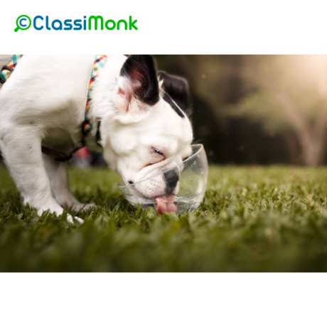 behaviour-training-for-happy-well-mannered-pets-big-0