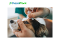 comprehensive-pet-healthcare-solutions-small-0