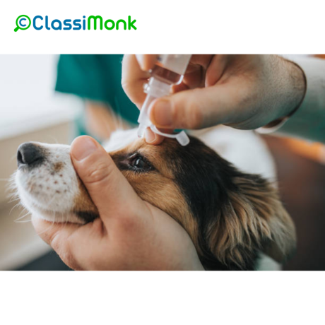 comprehensive-pet-healthcare-solutions-big-0