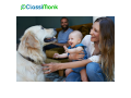 premium-pet-supplier-and-accessories-small-0