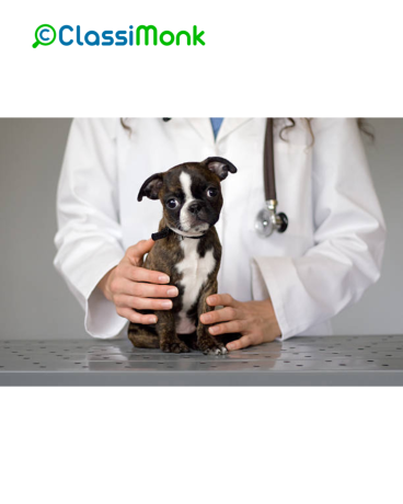 veterinary-care-for-your-dogs-health-and-happiness-milwaukee-big-0