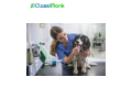 animal-pet-services-in-brooklyn-new-york-caring-for-your-furry-friends-small-0