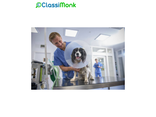 Trusted Pet Care Services in Philadelphia