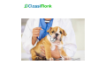 trusted-dog-walking-and-sitting-services-in-tulsa-small-0