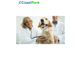 Animal Adoption and Rescue Services in Stockton